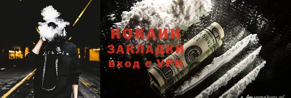 дживик Абинск