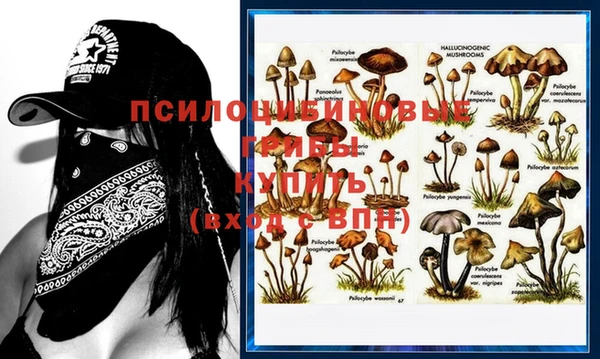 дживик Абинск