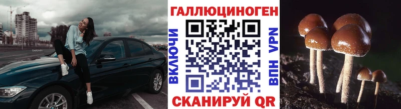 Галлюциногенные грибы прущие грибы  цены   Ковдор 